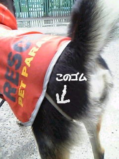 e0000946_2359178.jpg