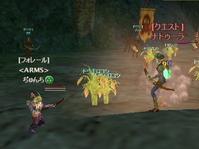 念願のフォレール装備♪_d0023063_32457.jpg