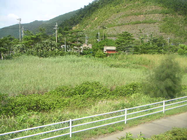 c0051873_20372563.jpg
