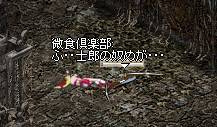 c0055693_22543227.jpg