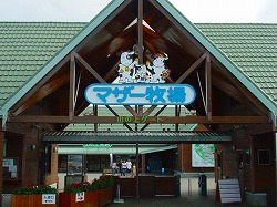 b0042003_91579.jpg