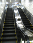 d0014408_1223993.gif