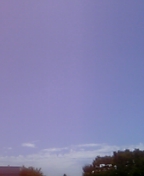 Typhoonも過ぎて・・・_c0060412_11114684.jpg