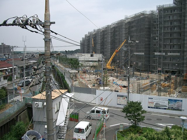 e0031613_1543074.jpg