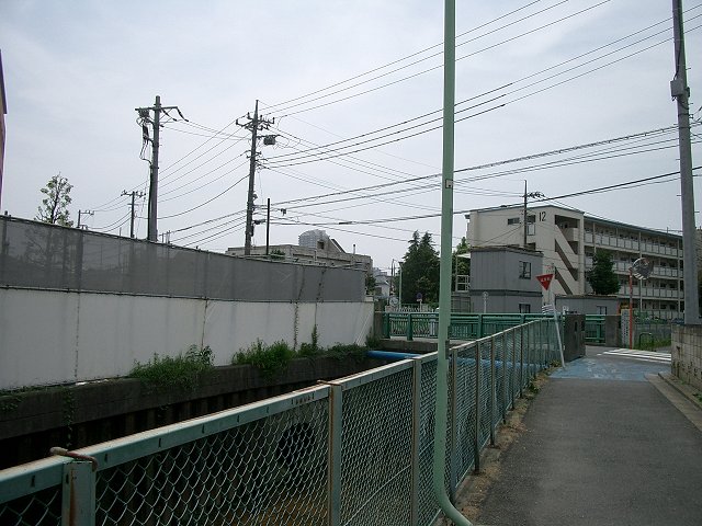 e0031613_2343473.jpg