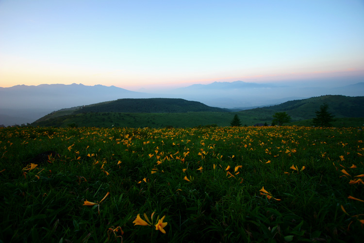 c0044720_89447.jpg