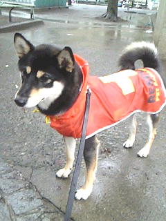 e0000946_055499.jpg