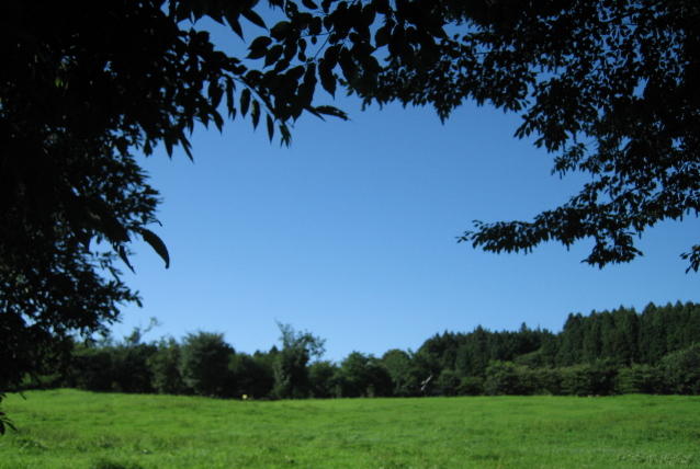 e0009147_1829344.jpg