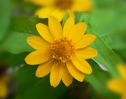 c0069048_65341.jpg