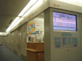 b0043506_520090.jpg