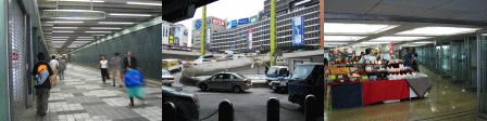 d0014408_10563561.gif