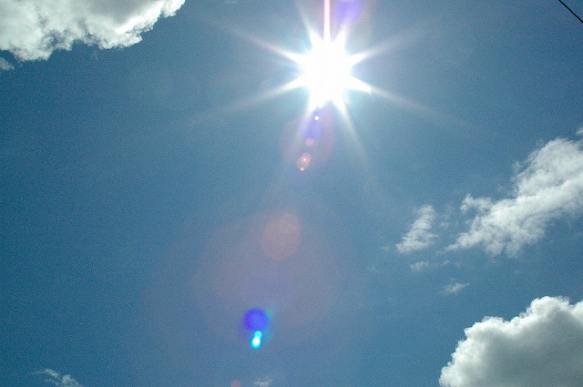 I missed U_a0037810_239342.jpg