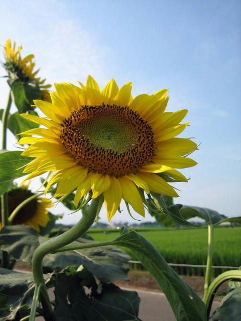 e0009147_20431053.jpg