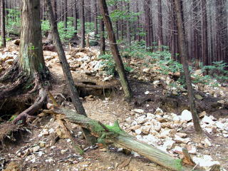 大谷鉱山　繁恵坑_d0045626_1219461.jpg