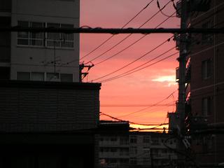 夕焼けじゃないよ（涙）_a0004429_22562483.jpg