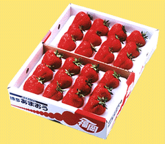 b0032034_2173270.gif