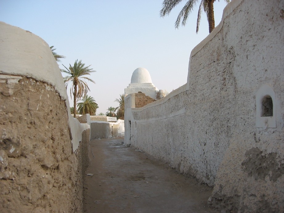 c0051938_54476.jpg