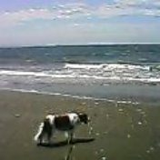 c0075585_073137.jpg