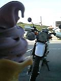 c0070396_1525066.jpg