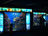 お友達と水族館へ_c0048899_9121980.jpg