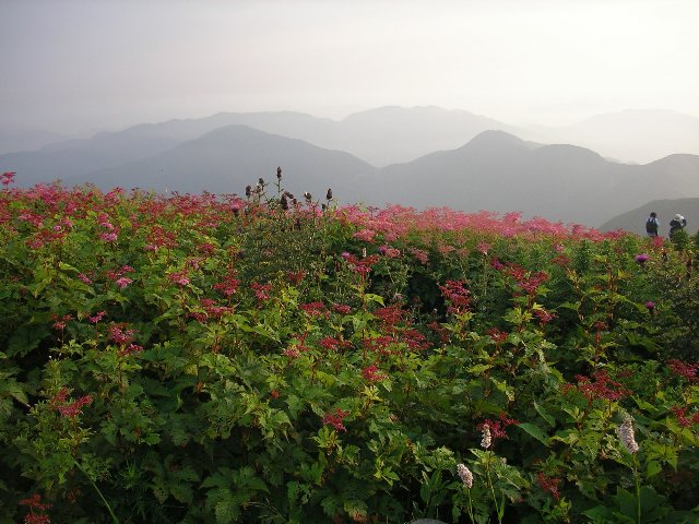 c0029332_2134119.jpg