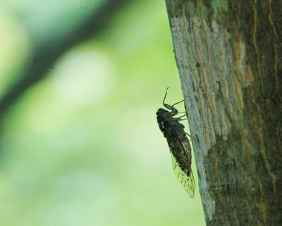 e0035757_6573385.jpg