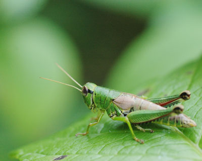 e0035757_72424.jpg