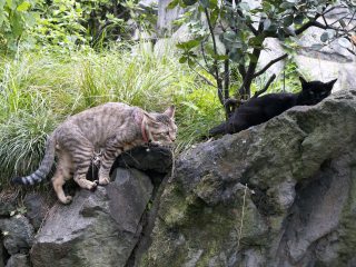 c0071611_7335142.jpg
