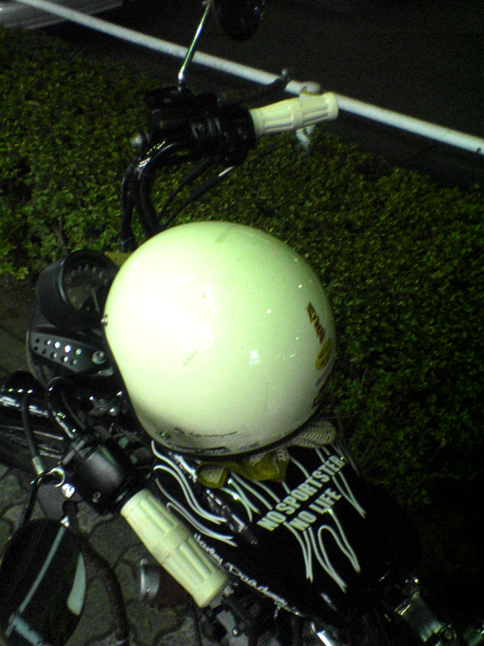 c0006028_94444.jpg