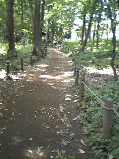 K公園_d0049241_15441455.jpg