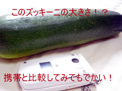 あつ~ぃ時には、お酢を使った夏野菜ダネ！　◆　夏野菜酢漬けの前菜　◆　_d0009843_10531457.jpg