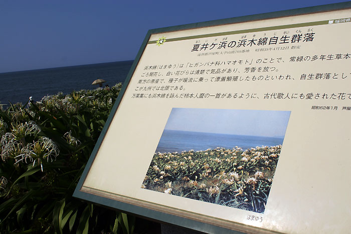 c0047744_3113525.jpg
