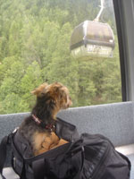 スイス&フランス旅行 ~シャモニ(Chamonix)~_c0024345_2144883.jpg