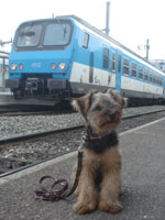 スイス&フランス旅行 ~犬の交通費~_c0024345_21542886.jpg