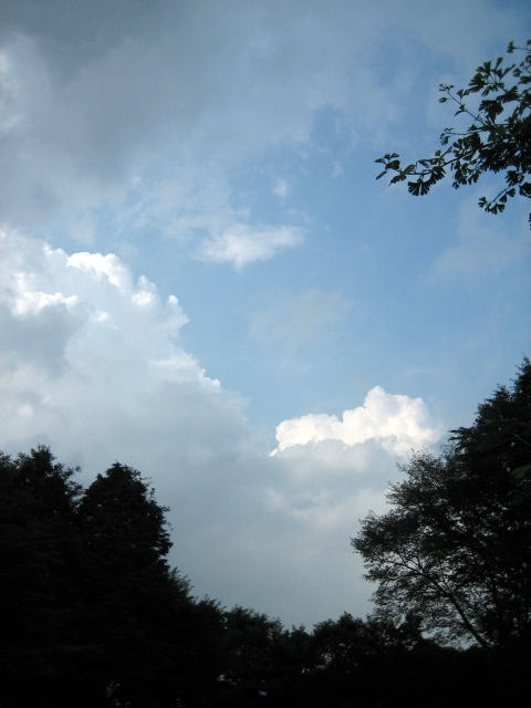 e0009147_18155735.jpg