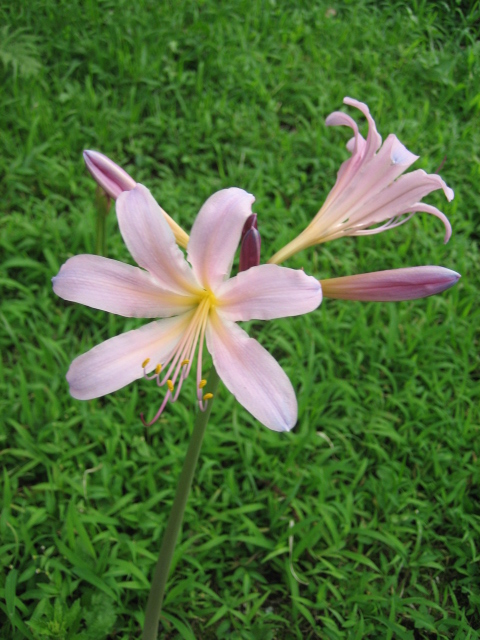 e0009147_18163953.jpg