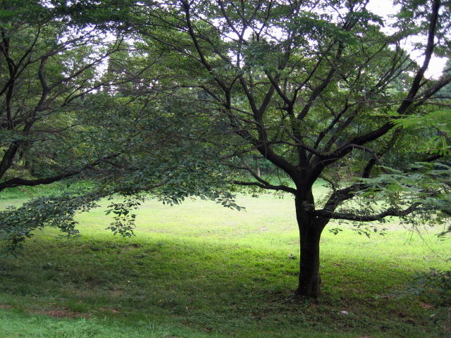 e0009147_21311458.jpg