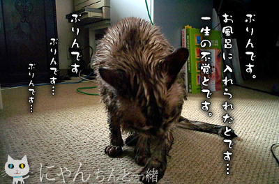 お風呂日和_e0031853_2222157.jpg