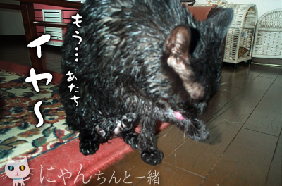 お風呂日和_e0031853_229533.jpg