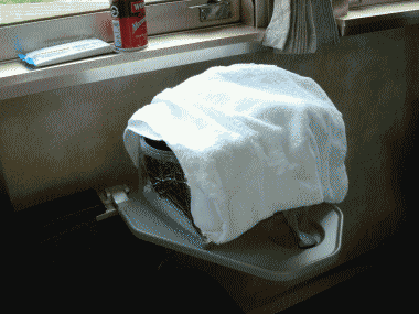 b0055276_022283.gif