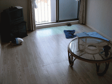 b0055276_0232394.gif
