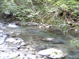 d0000101_2233039.jpg