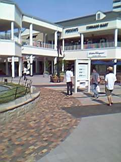 e0033314_48444.jpg
