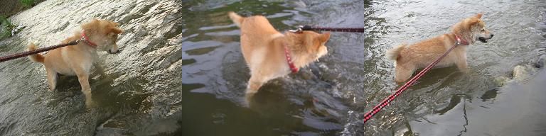 真似っこしてみたけれど。。。_c0049950_2148122.jpg