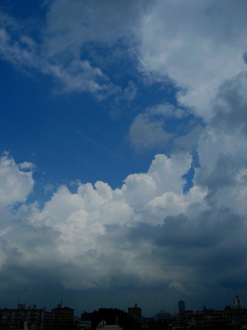 c0030874_9172280.jpg