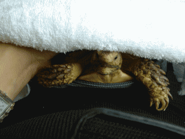 b0055276_23575698.gif
