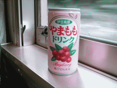 カメさんとお泊り～2005　後編_b0055276_235861.gif