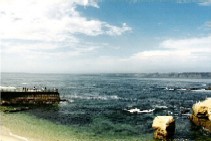 c0062603_10372722.jpg