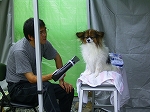 c0048940_21762.jpg