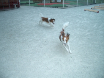 c0065512_235145.jpg